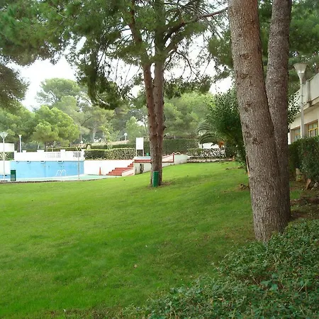 C&b Catalunya 92
